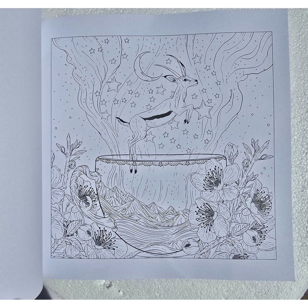 Mythographic Discover Shangri-La Artists Coloring Book Alessandra Fusi Paperback - Picture 8 of 8